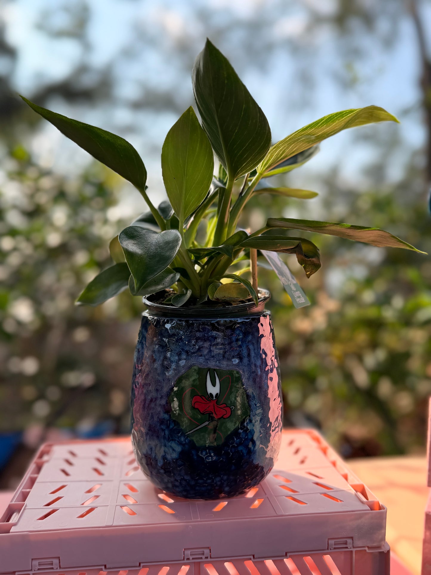 Hornet 🪡 Hollow Knight  Planter