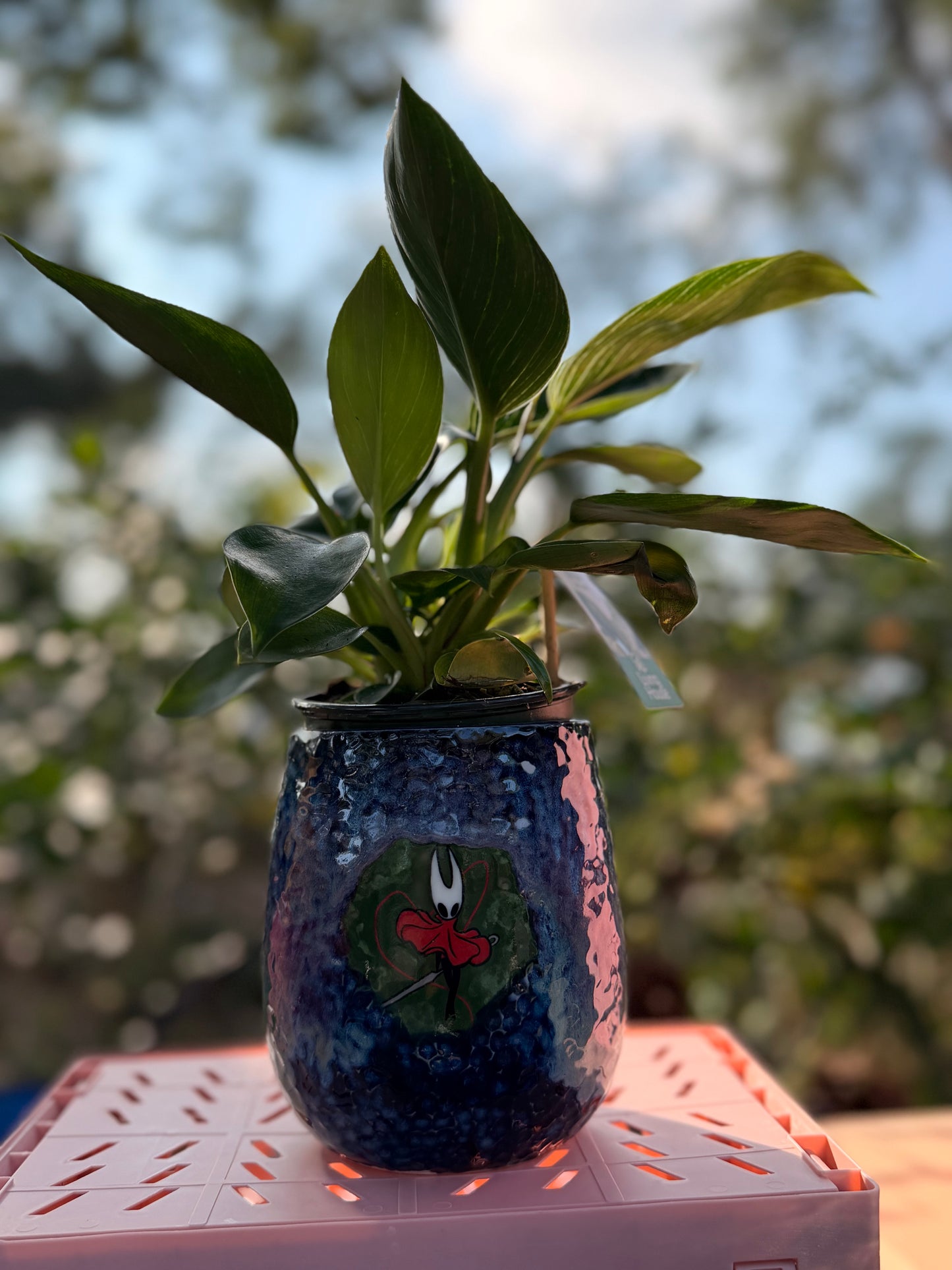 Hornet 🪡 Hollow Knight  Planter